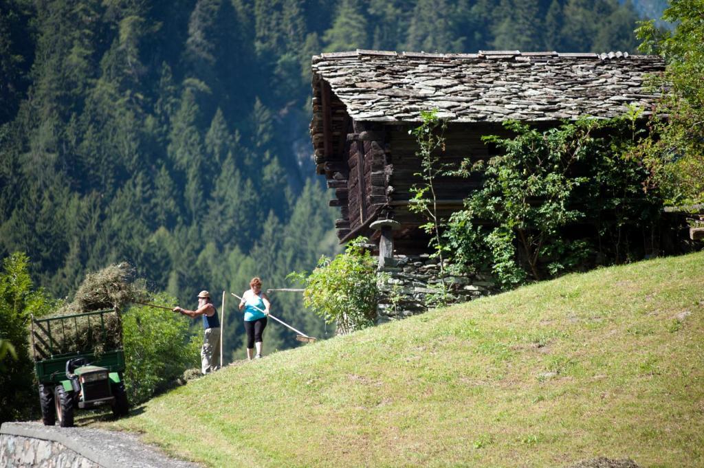 Albergo Castello Da Bonino Champorcher Kamer foto